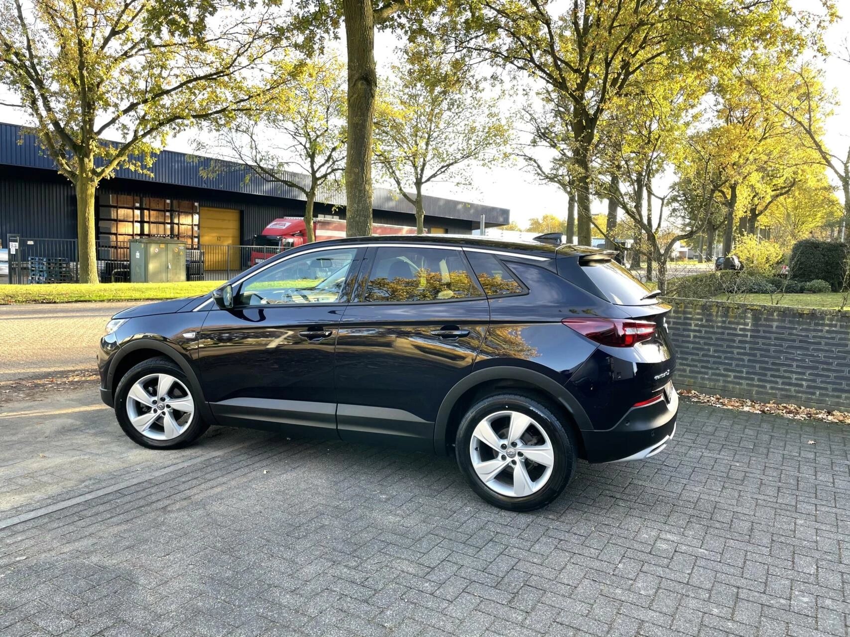 Hoofdafbeelding Opel Grandland X