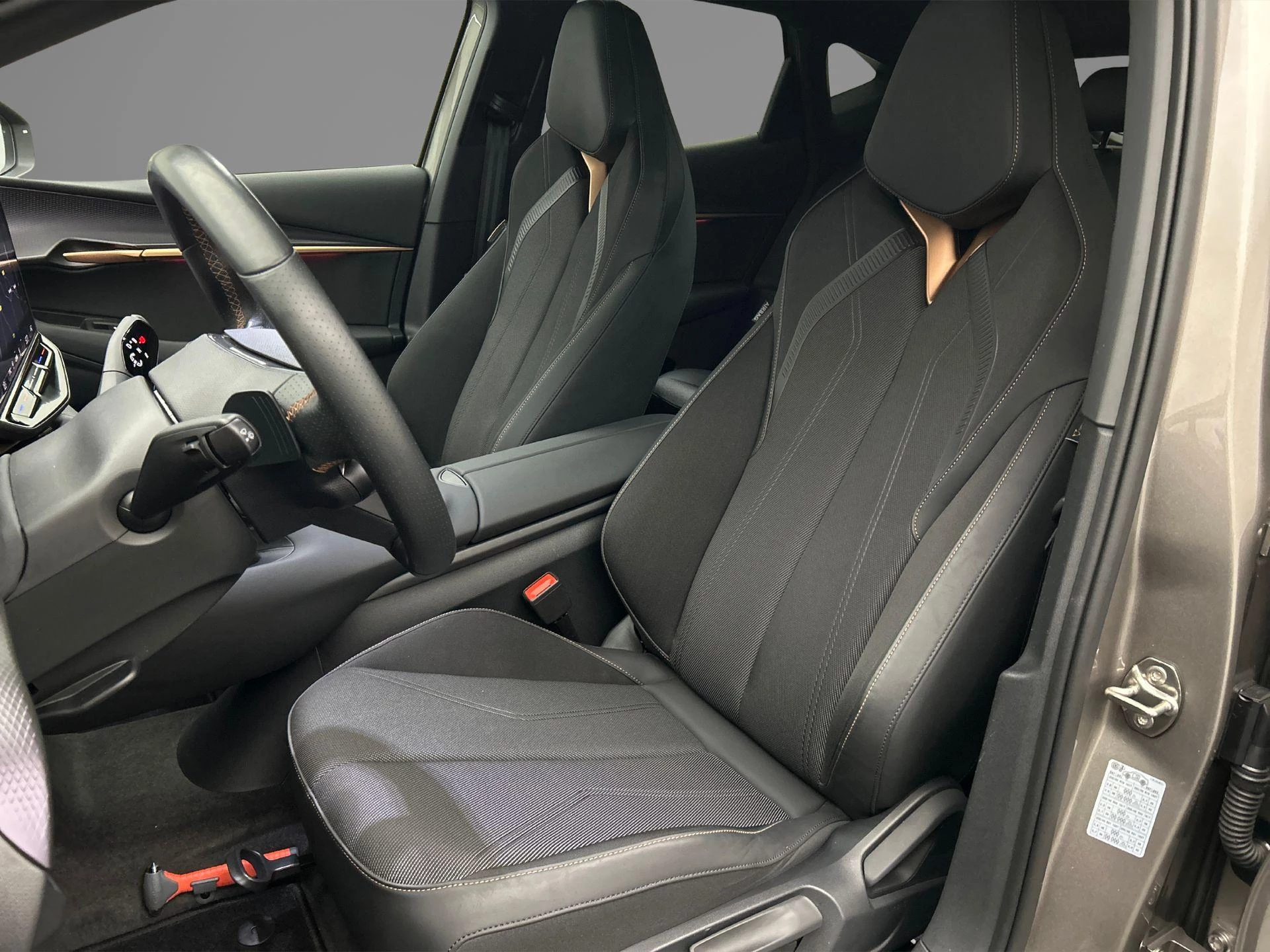 Hoofdafbeelding CUPRA Tavascan