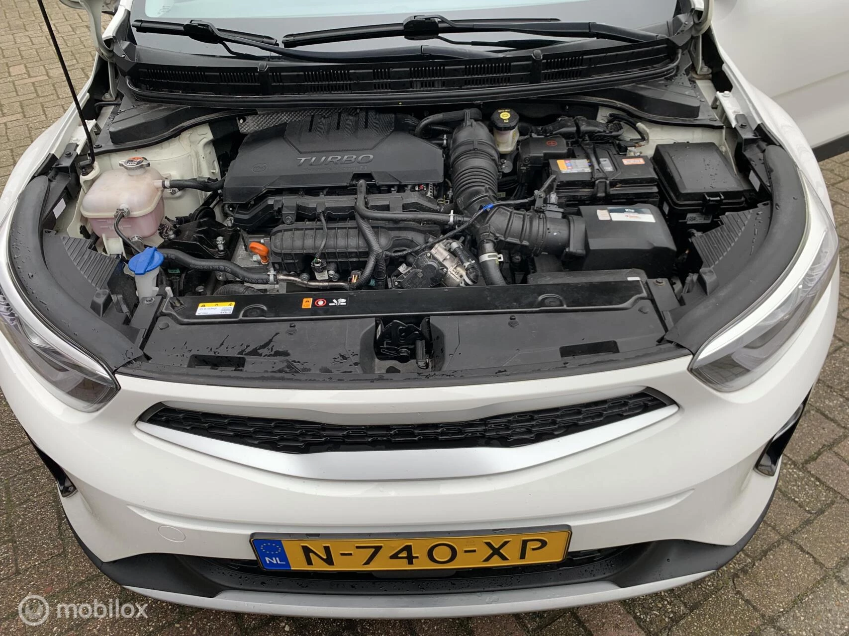 Hoofdafbeelding Kia Stonic