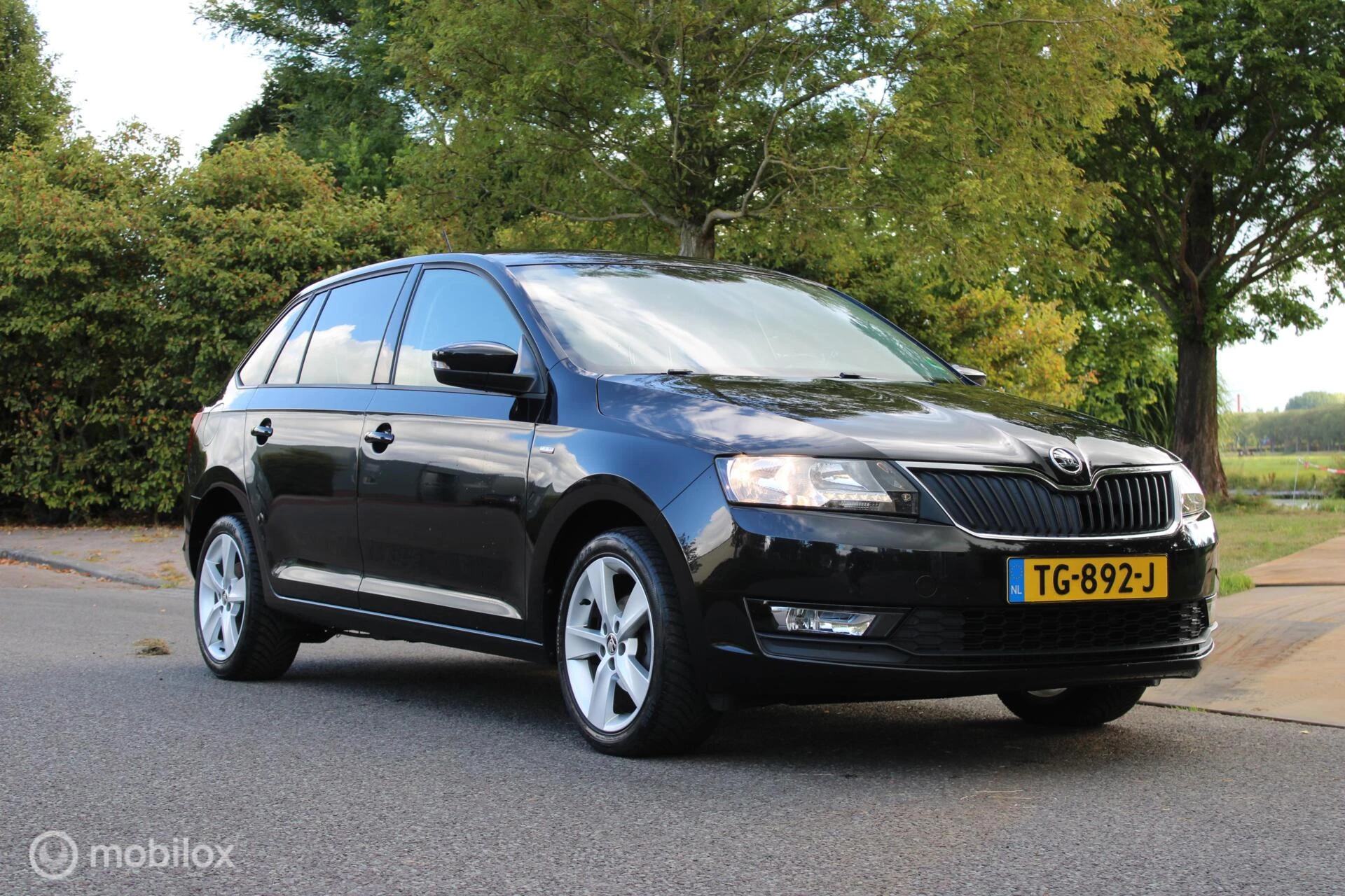 Hoofdafbeelding Škoda Rapid