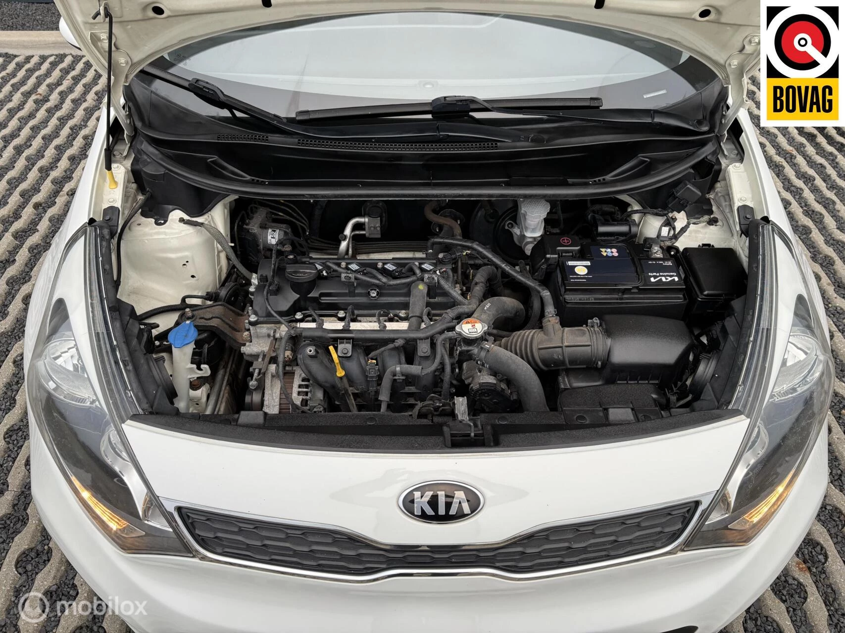 Hoofdafbeelding Kia Rio