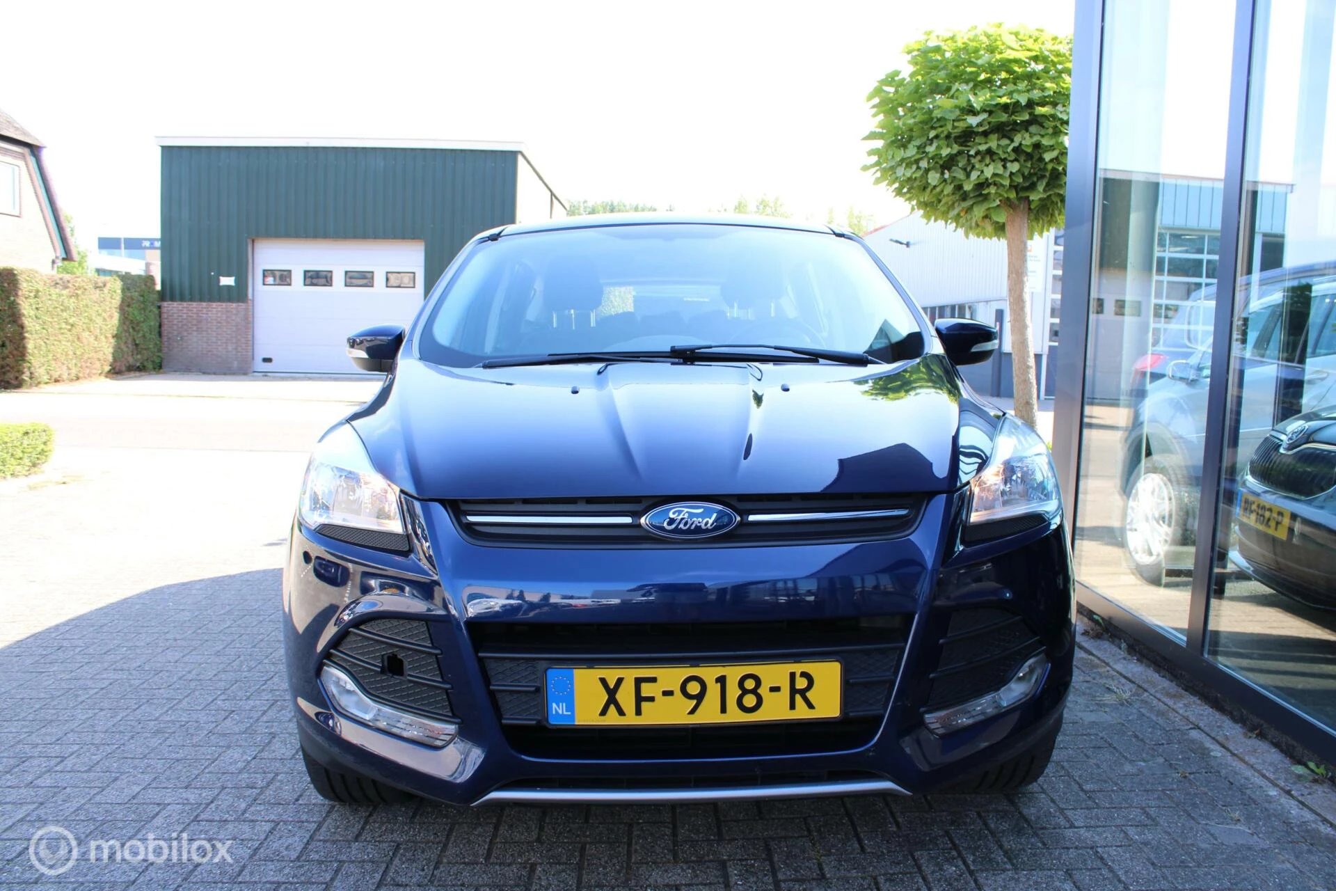 Hoofdafbeelding Ford Kuga