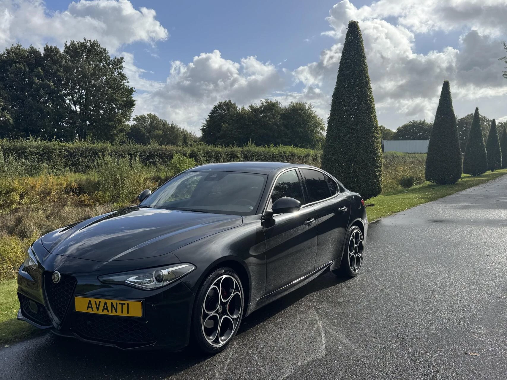 Hoofdafbeelding Alfa Romeo Giulia