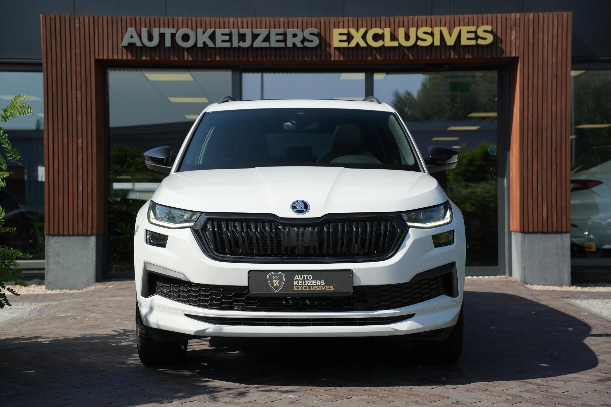 Hoofdafbeelding Škoda Kodiaq