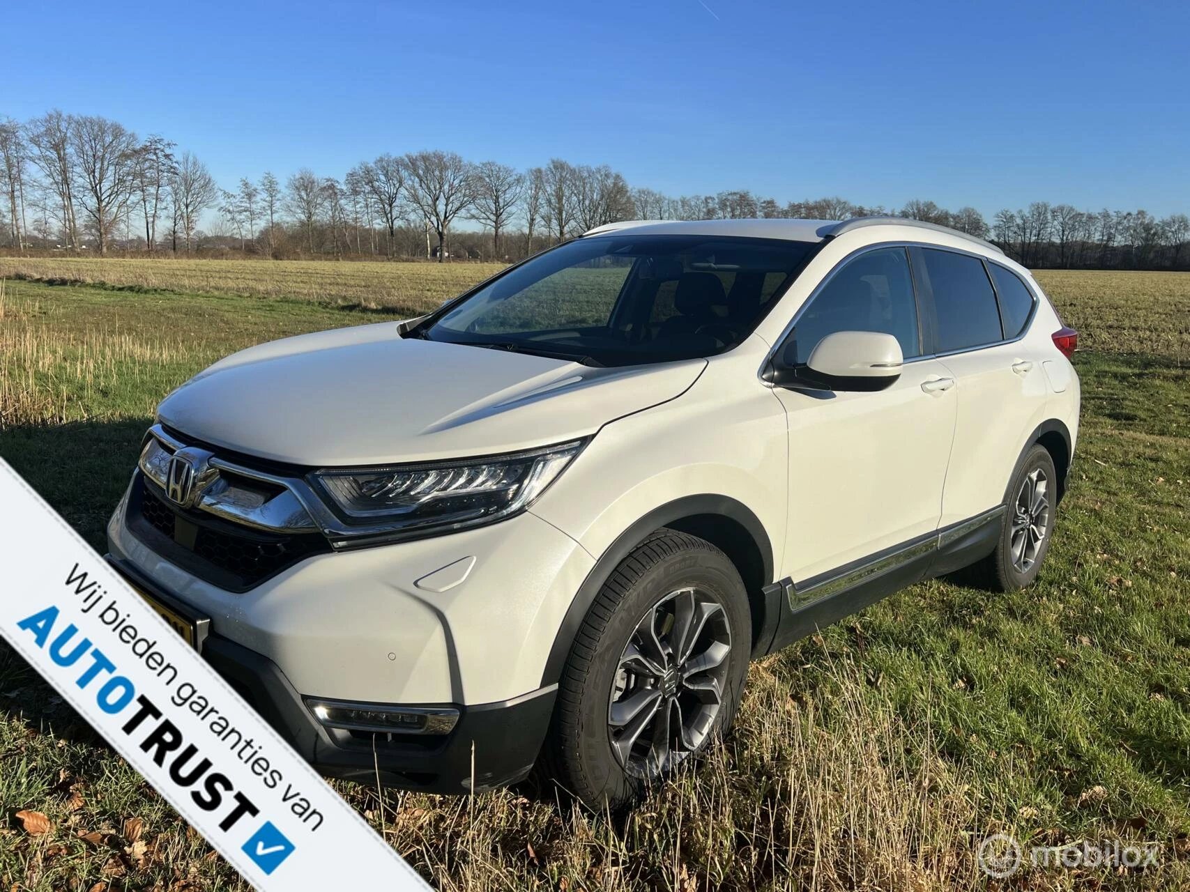 Hoofdafbeelding Honda CR-V