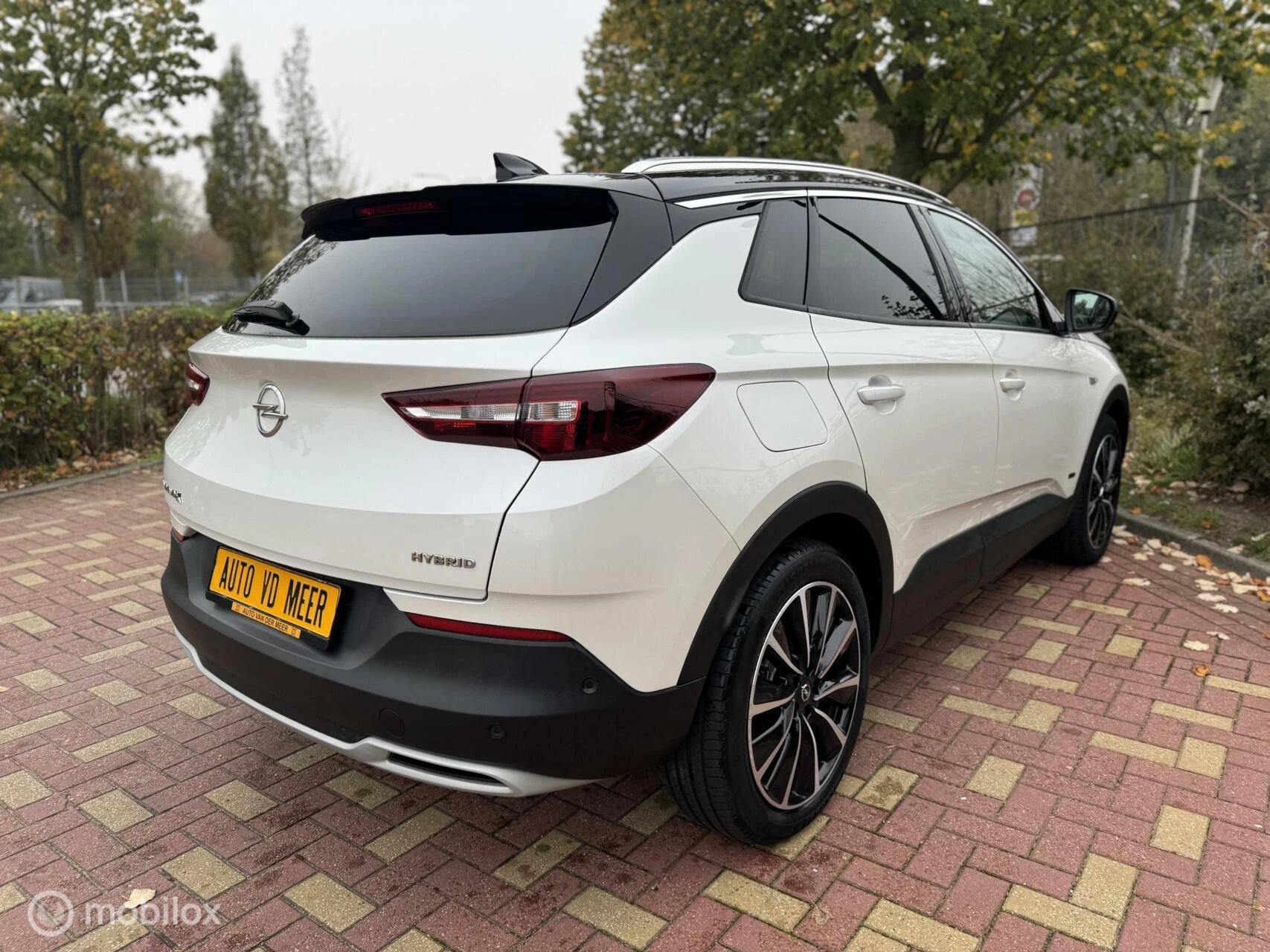 Hoofdafbeelding Opel Grandland X