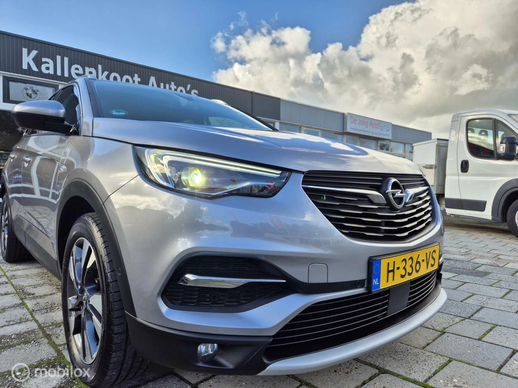 Hoofdafbeelding Opel Grandland X