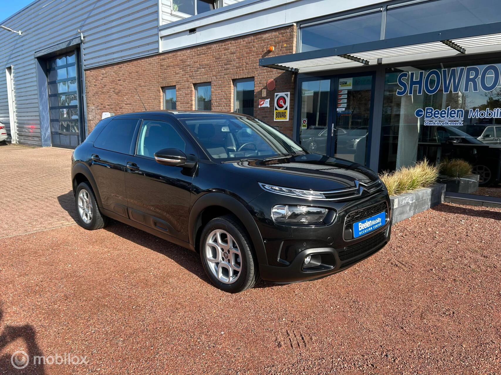 Hoofdafbeelding Citroën C4 Cactus