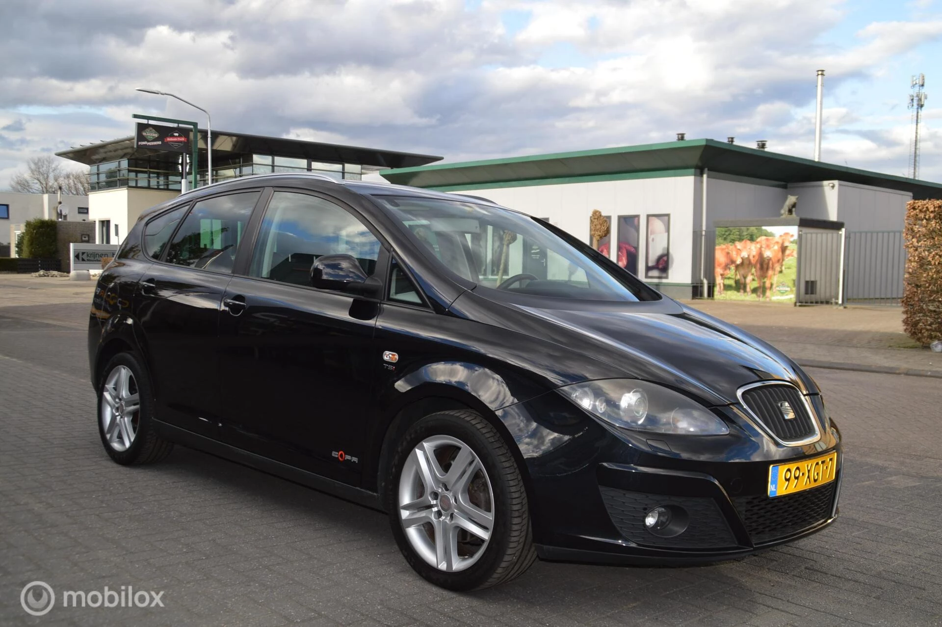 Hoofdafbeelding SEAT Altea XL