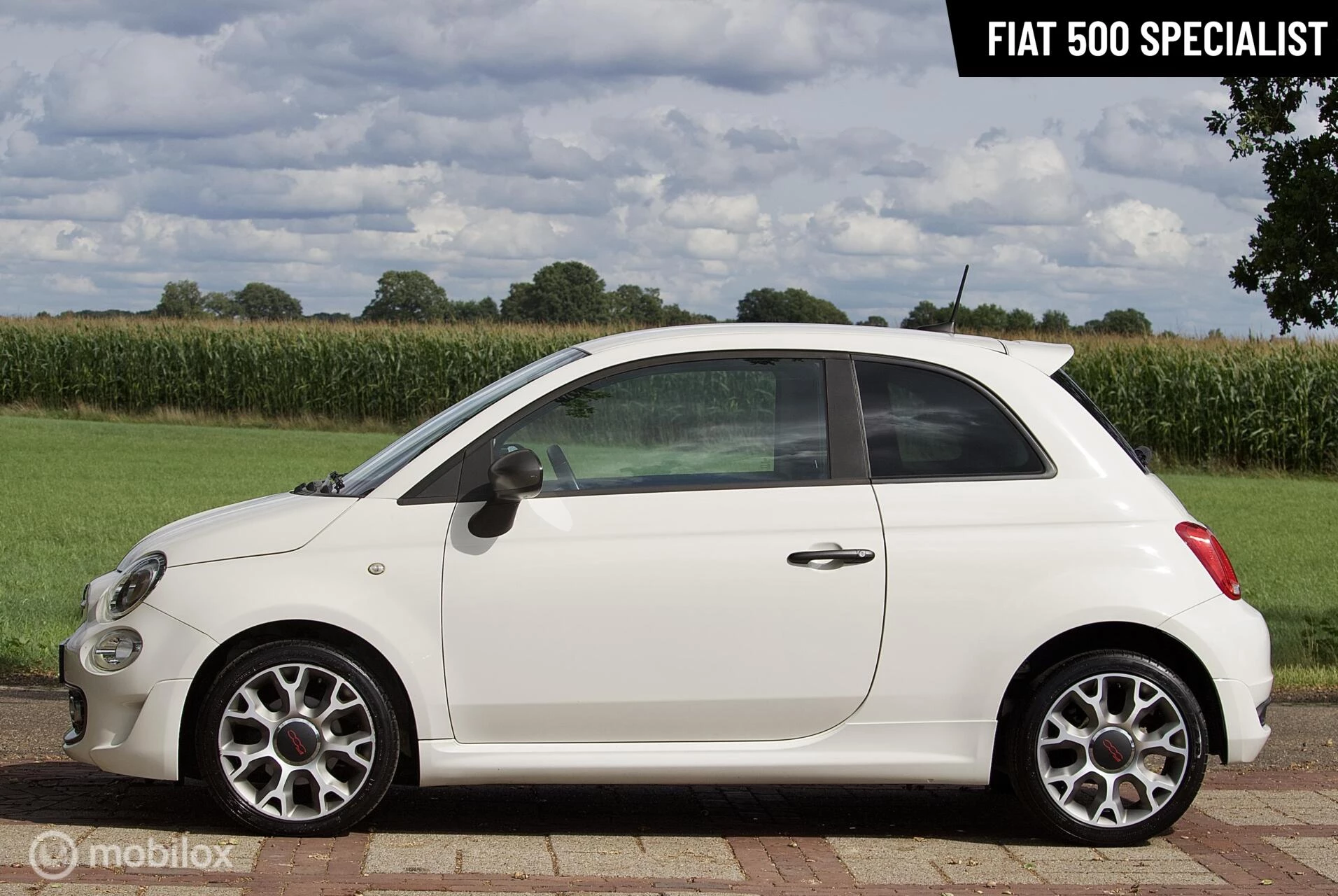 Hoofdafbeelding Fiat 500