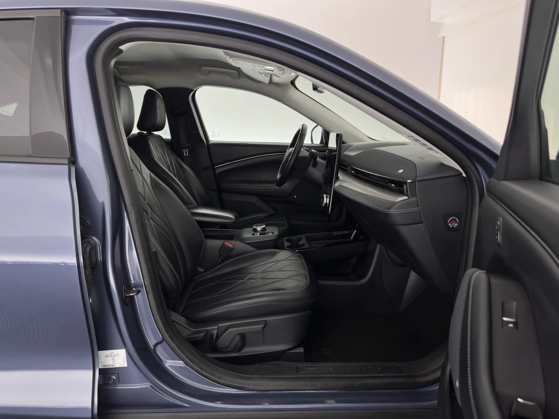 Hoofdafbeelding Ford Mustang Mach-E