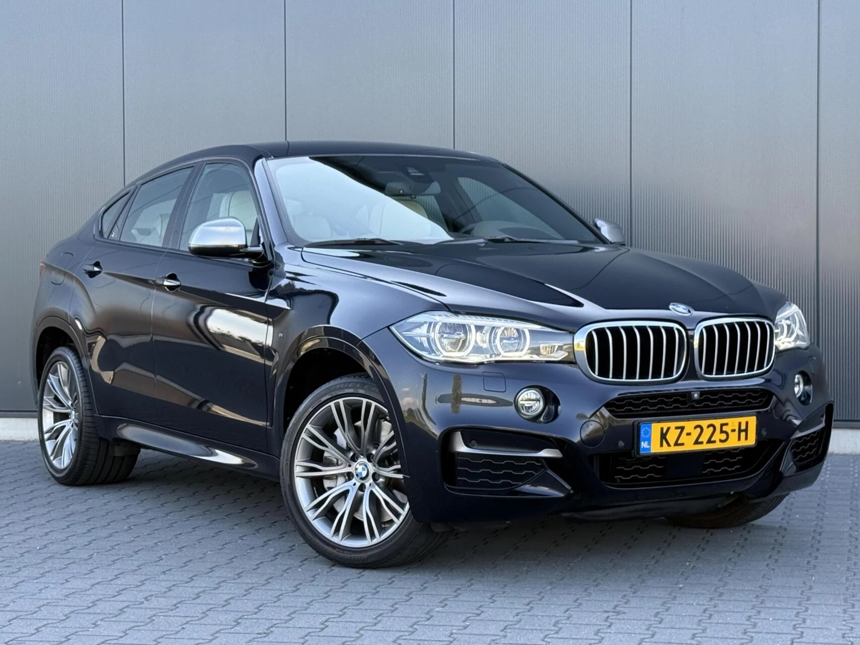 Hoofdafbeelding BMW X6