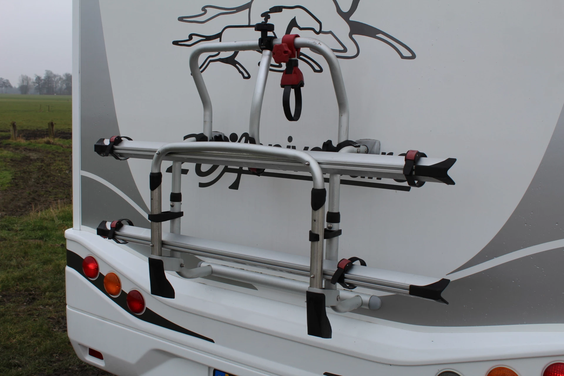 Hoofdafbeelding McLouis YEARLING