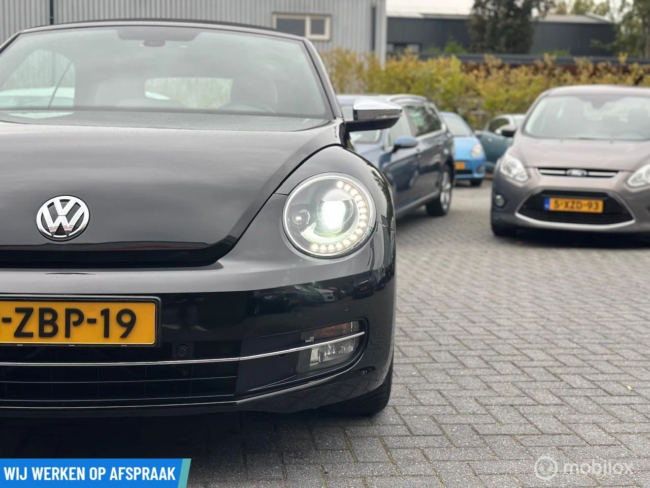 Hoofdafbeelding Volkswagen Beetle