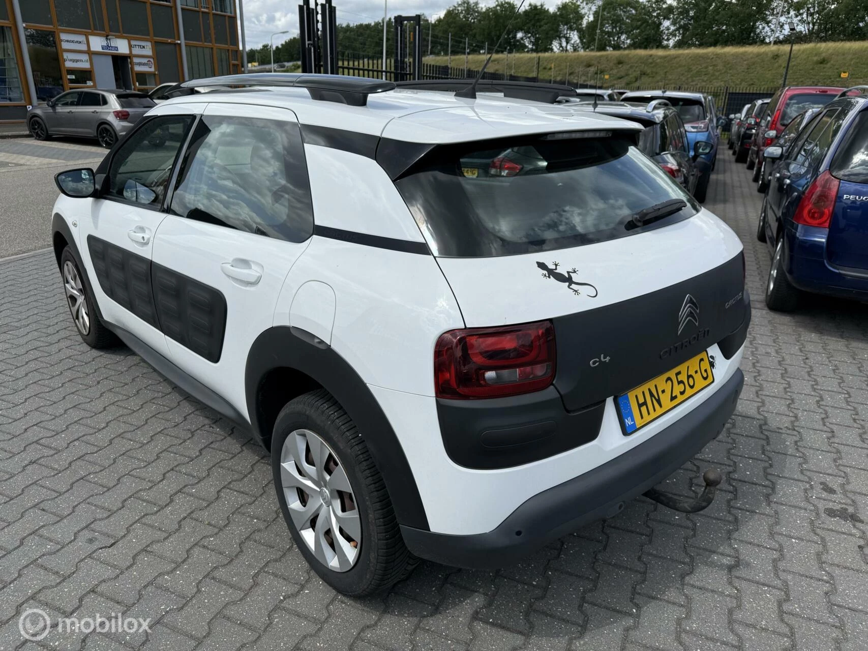 Hoofdafbeelding Citroën C4 Cactus