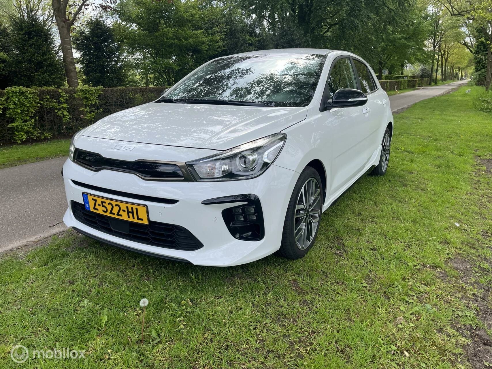 Hoofdafbeelding Kia Rio