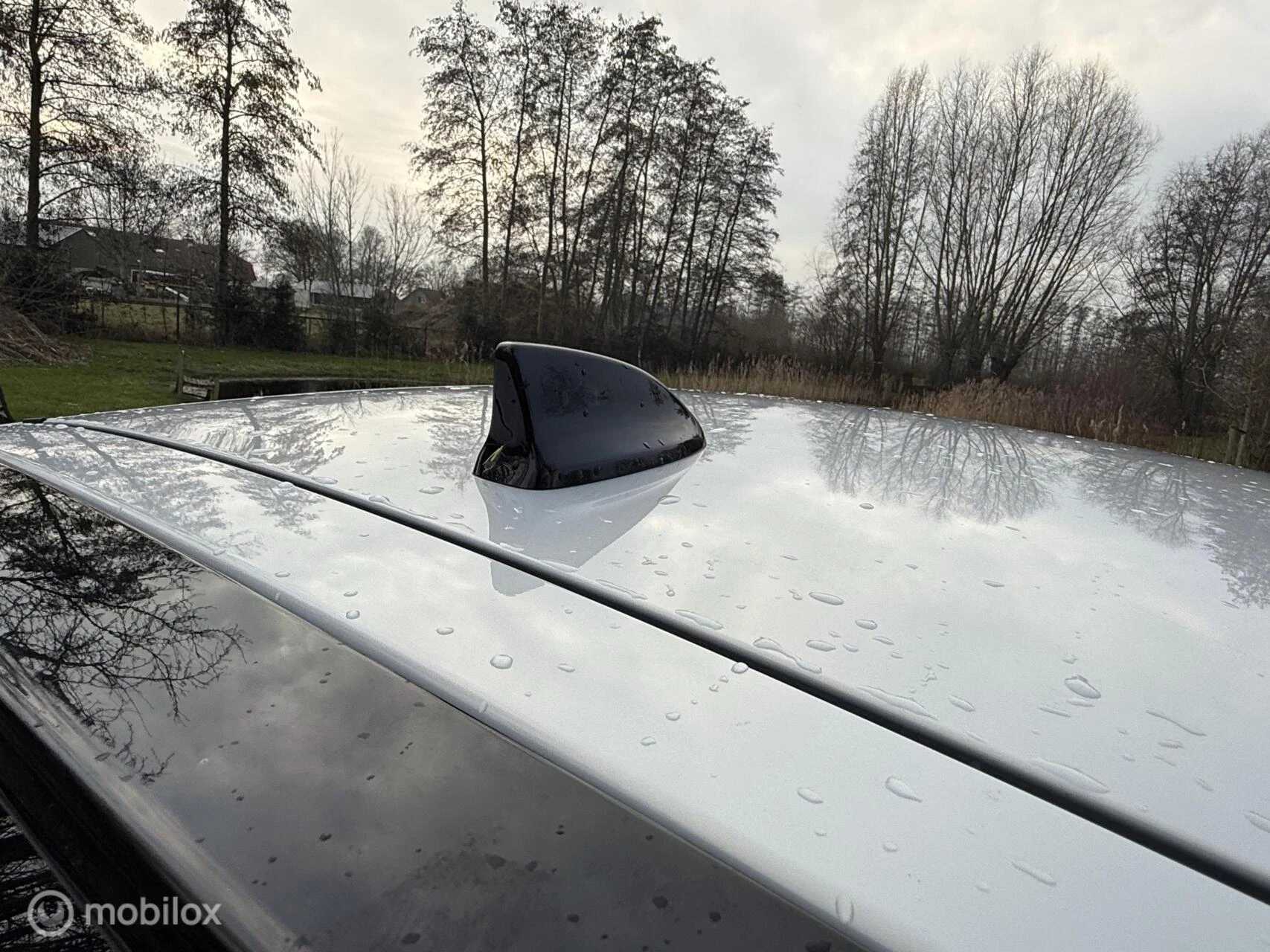 Hoofdafbeelding Honda Jazz