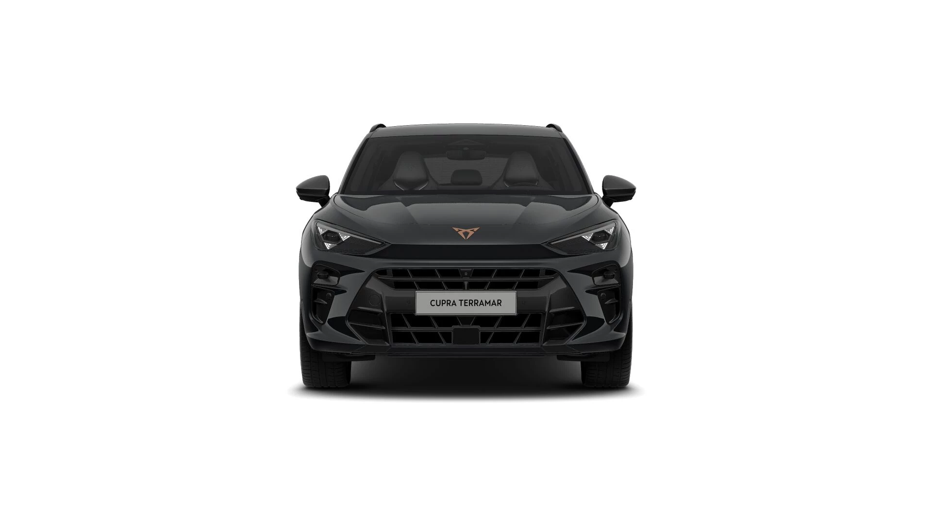 Hoofdafbeelding CUPRA Terramar