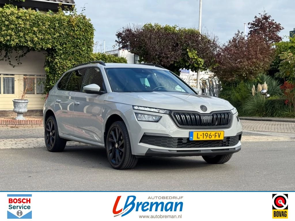 Hoofdafbeelding Škoda Kamiq
