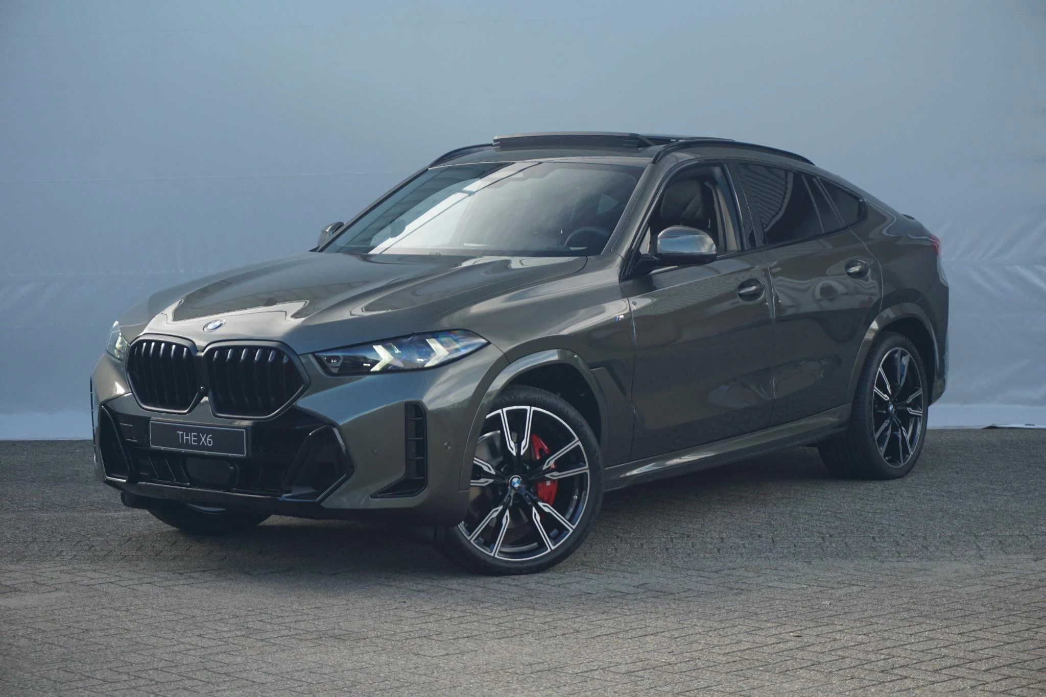 Hoofdafbeelding BMW X6