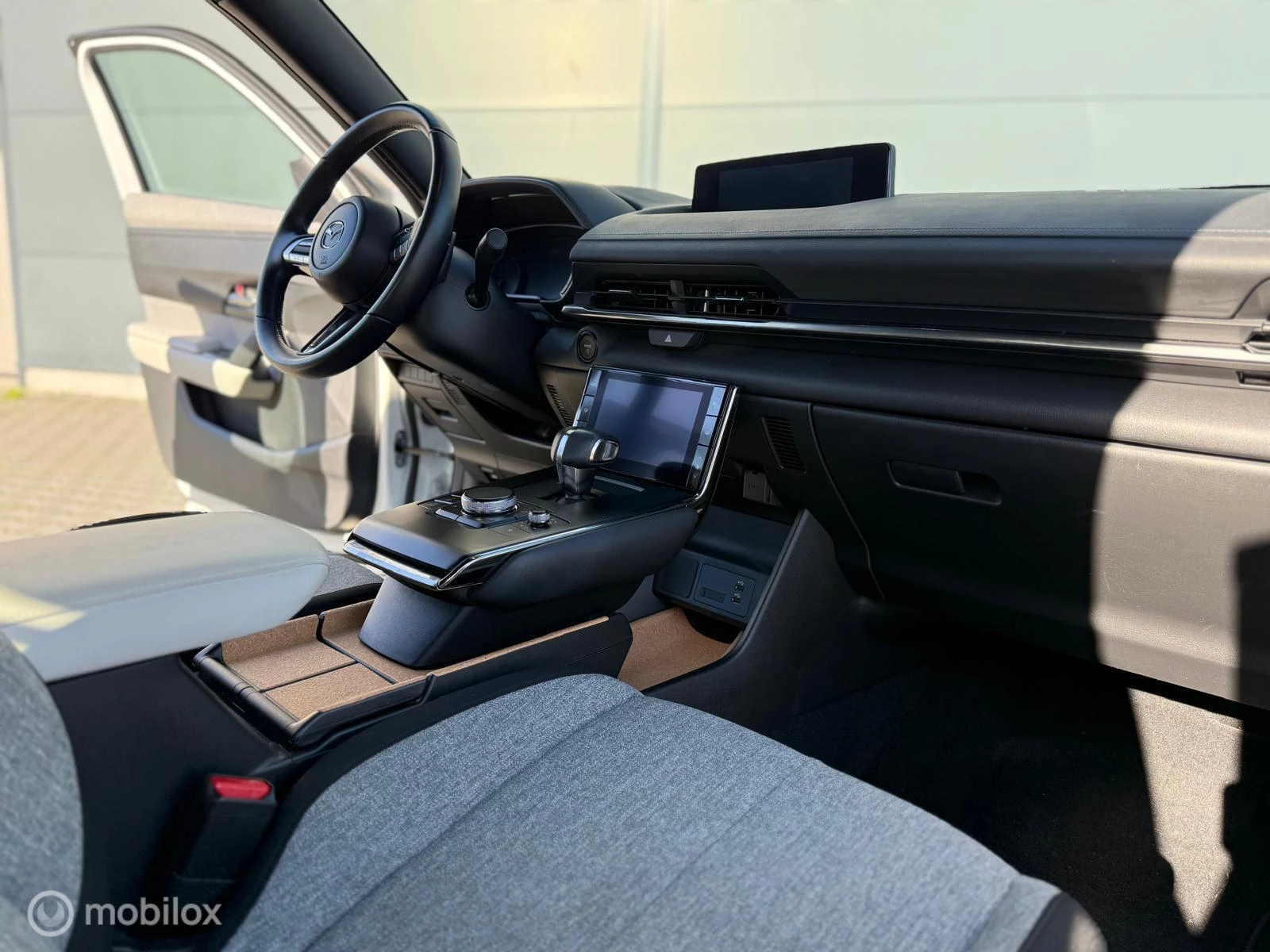 Hoofdafbeelding Mazda MX-30