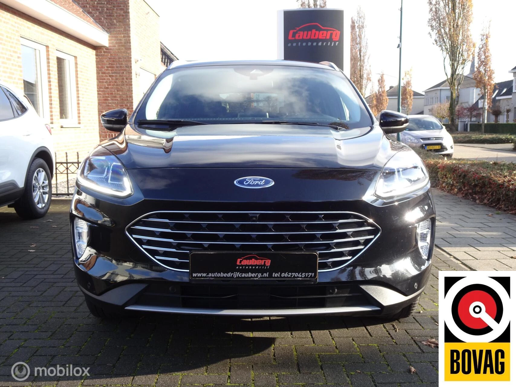 Hoofdafbeelding Ford Kuga