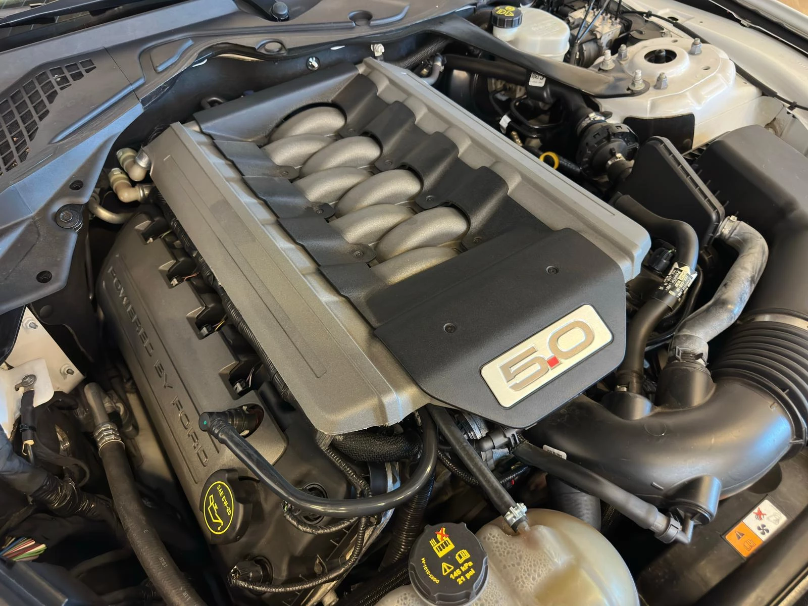 Hoofdafbeelding Ford Mustang