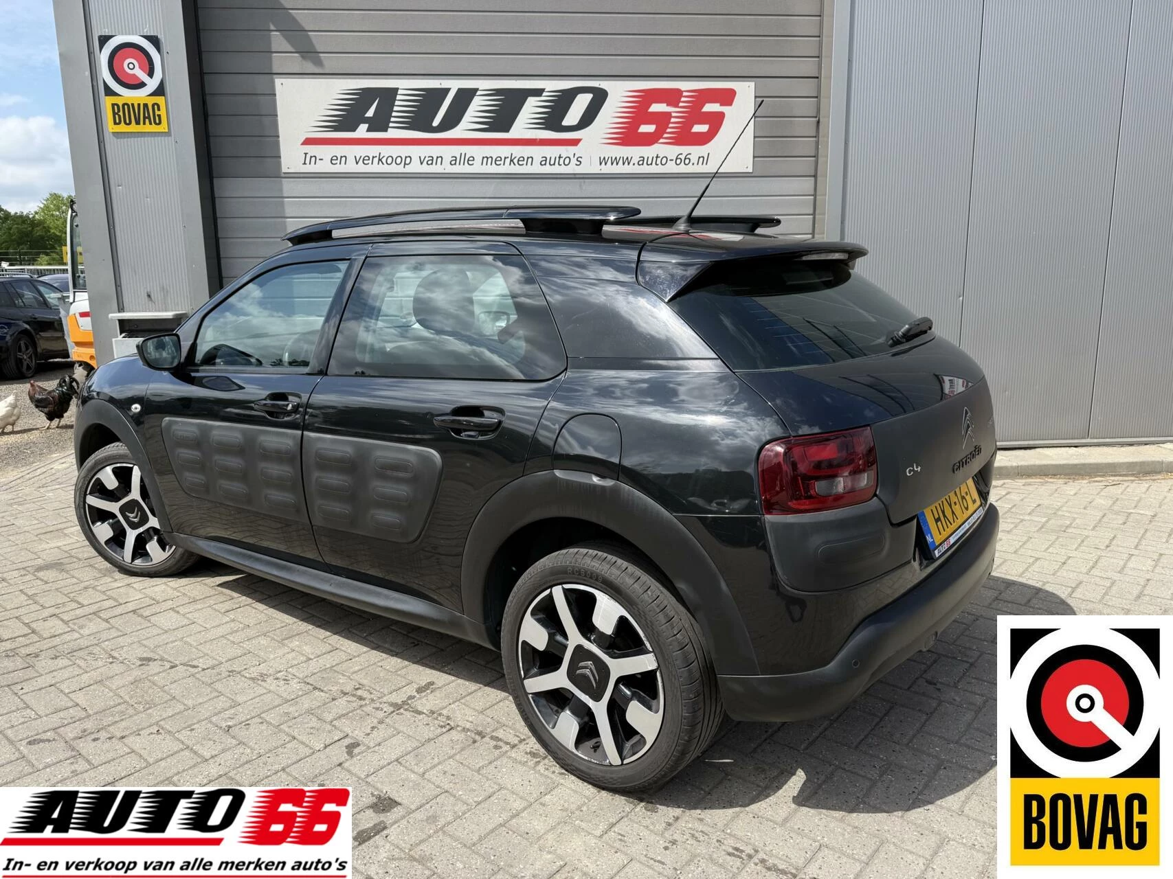 Hoofdafbeelding Citroën C4 Cactus