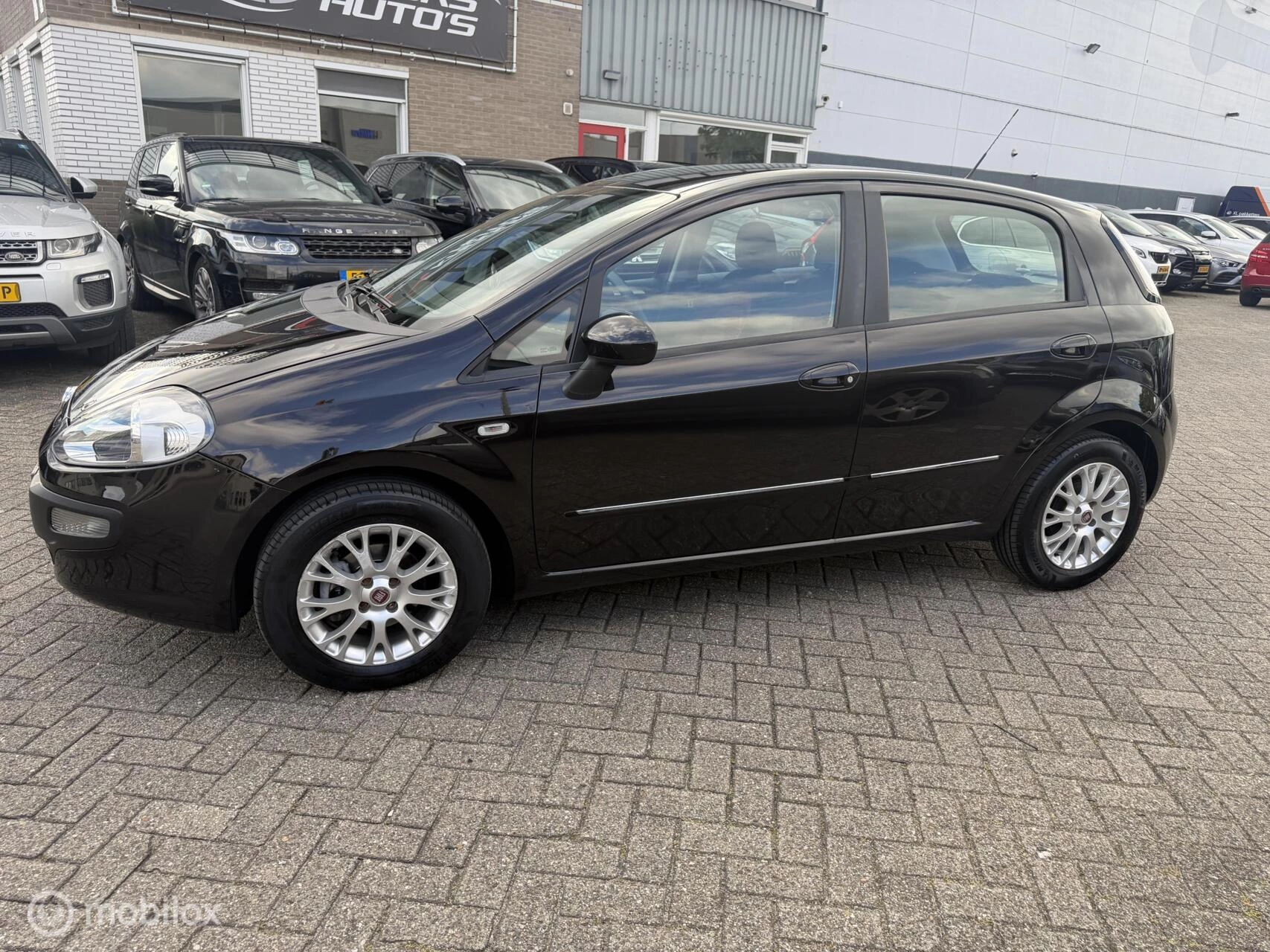Hoofdafbeelding Fiat Punto
