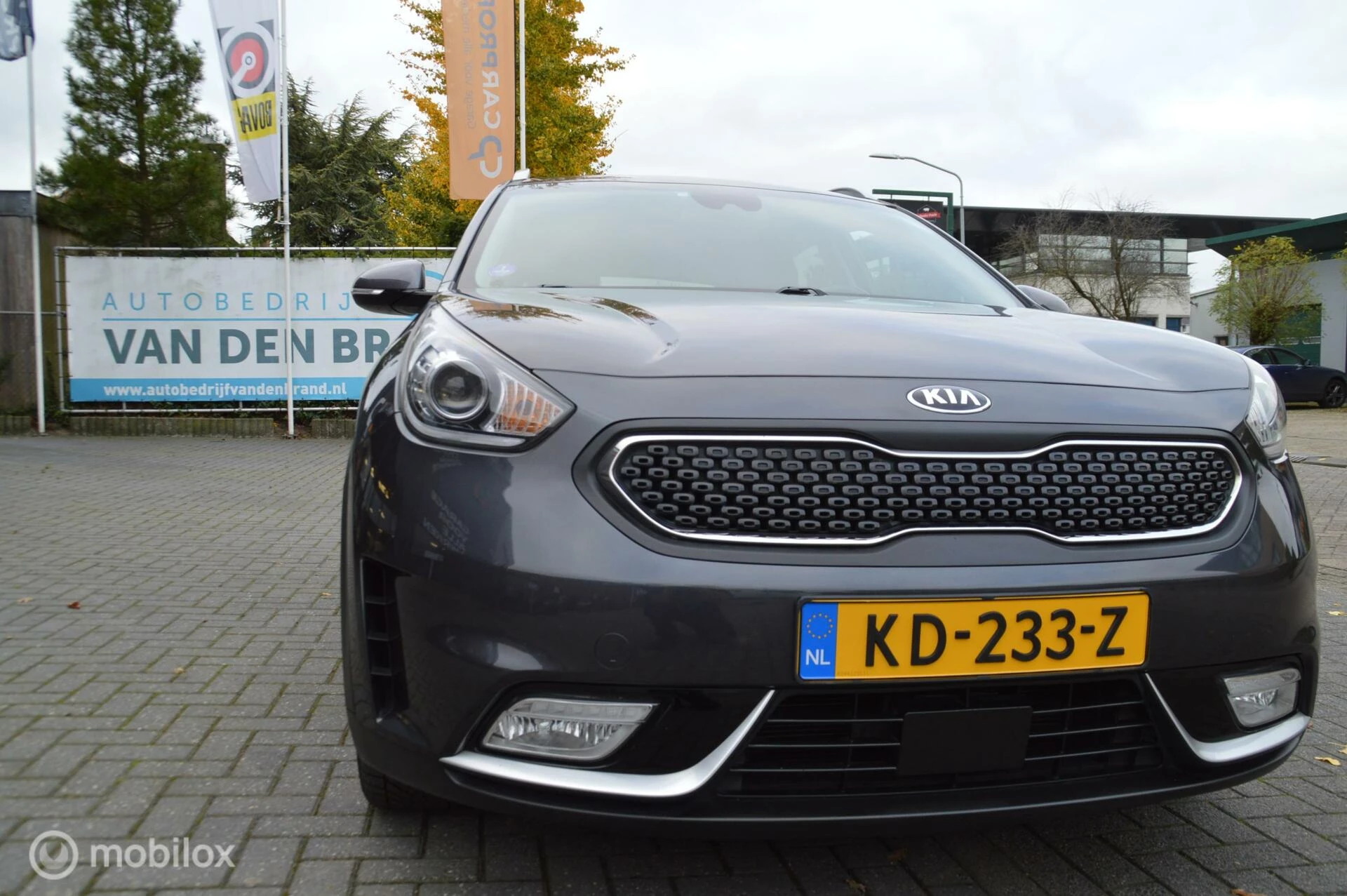 Hoofdafbeelding Kia Niro