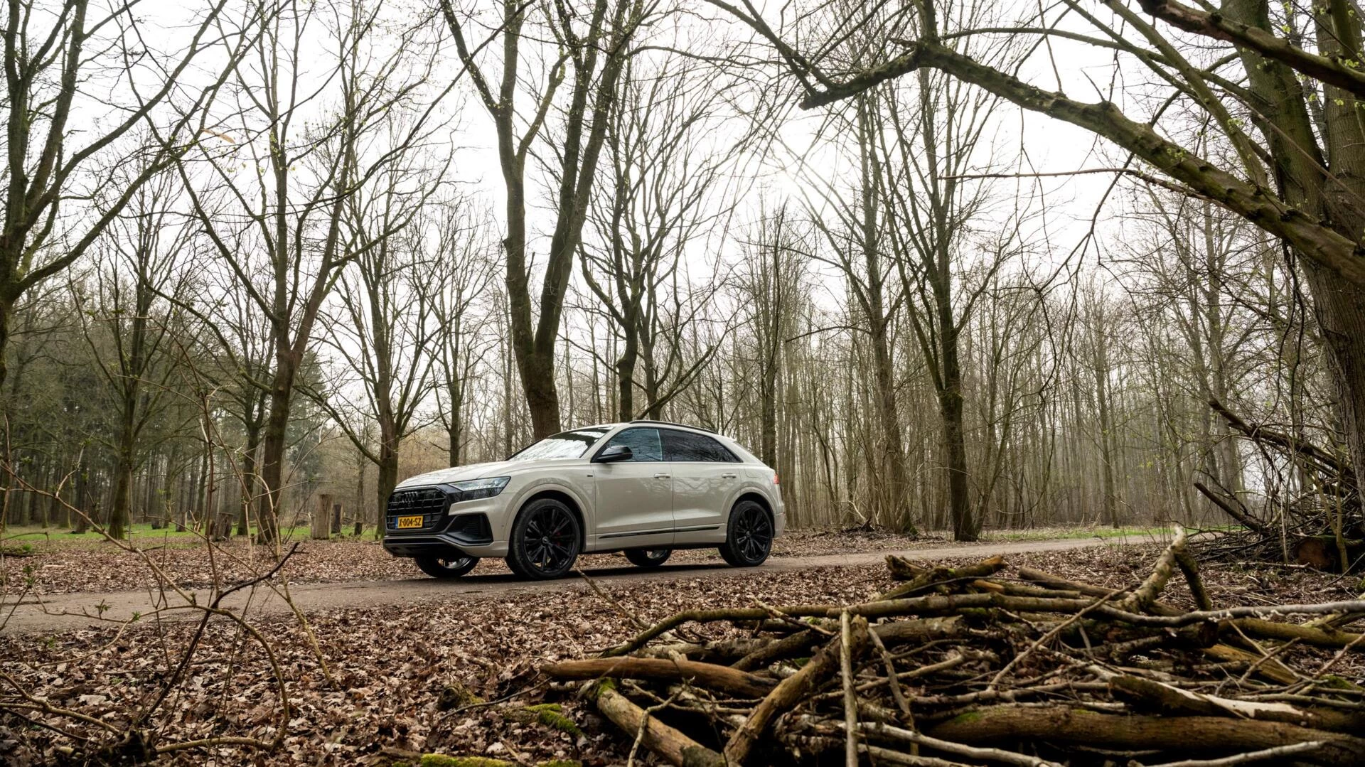 Hoofdafbeelding Audi Q8