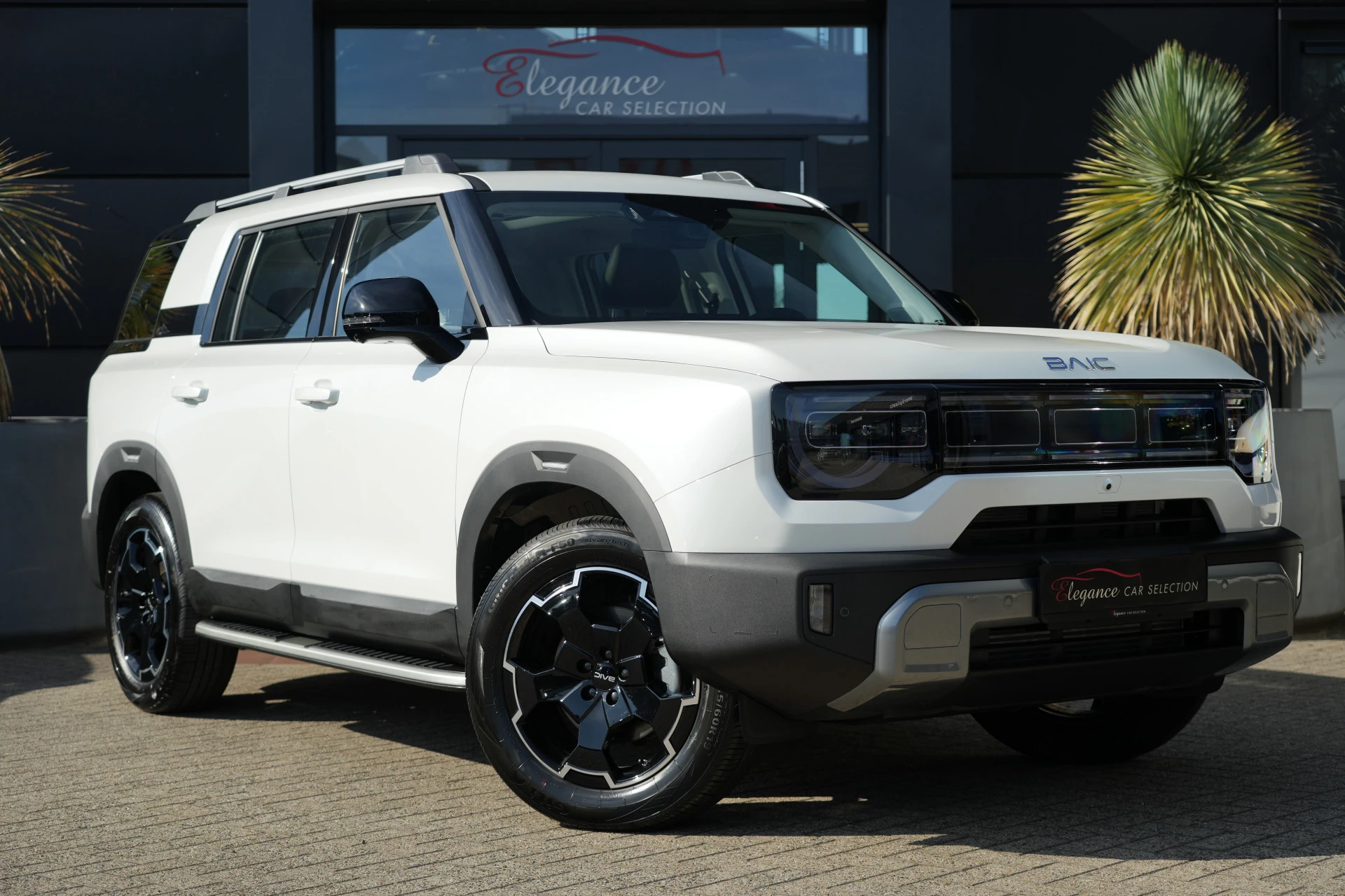 Hoofdafbeelding BAIC BJ30e