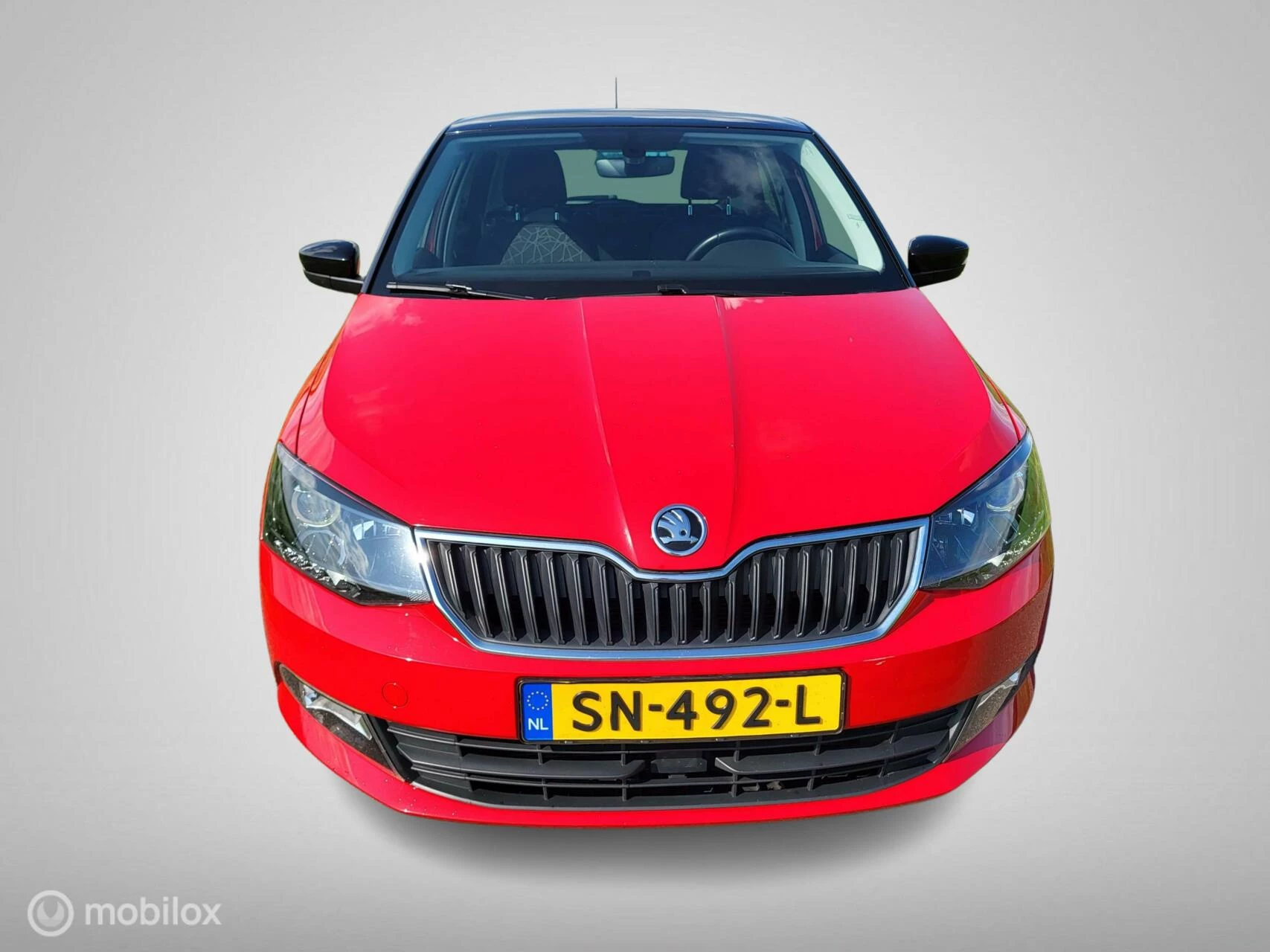 Hoofdafbeelding Škoda Fabia