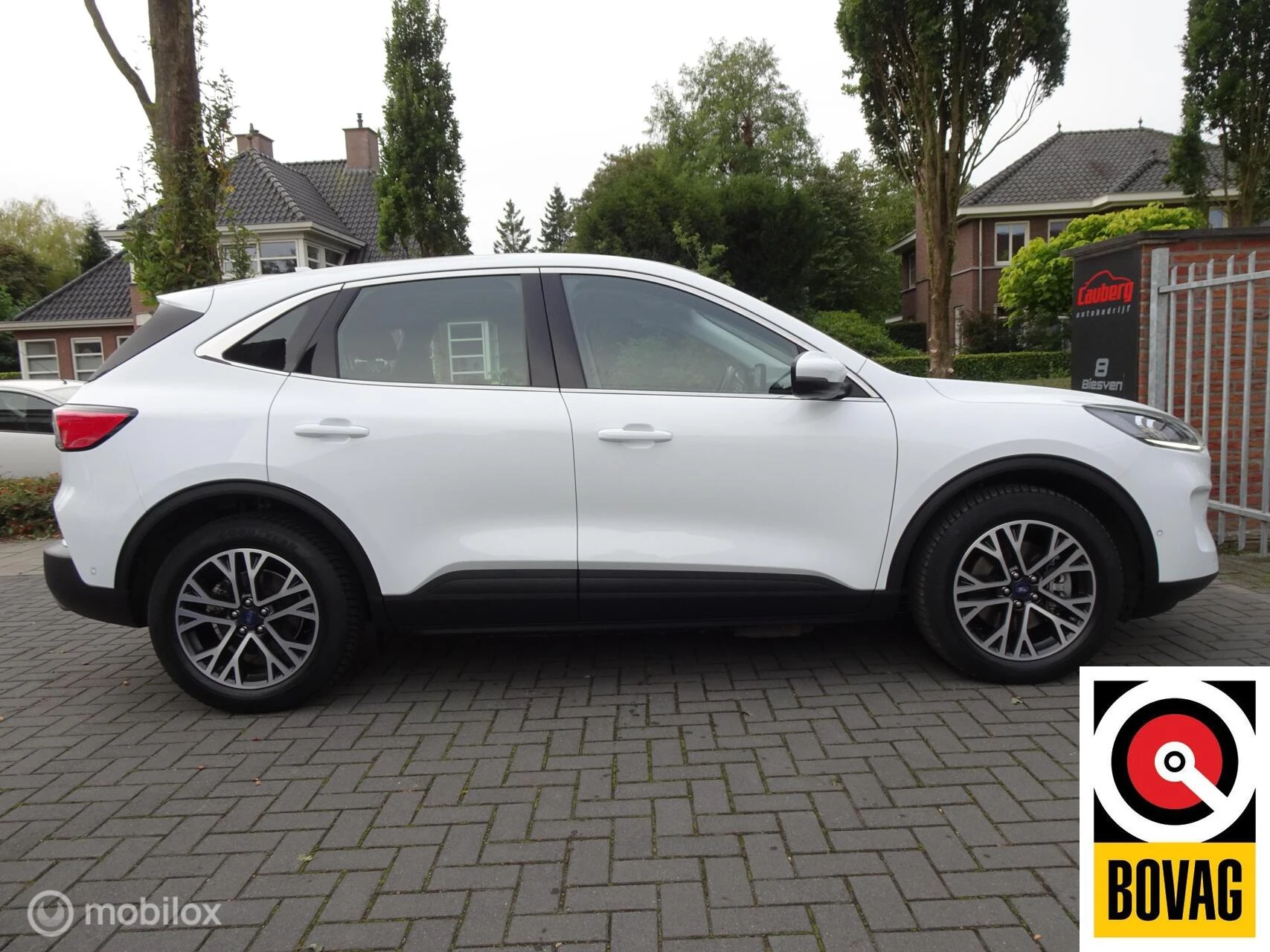 Hoofdafbeelding Ford Kuga