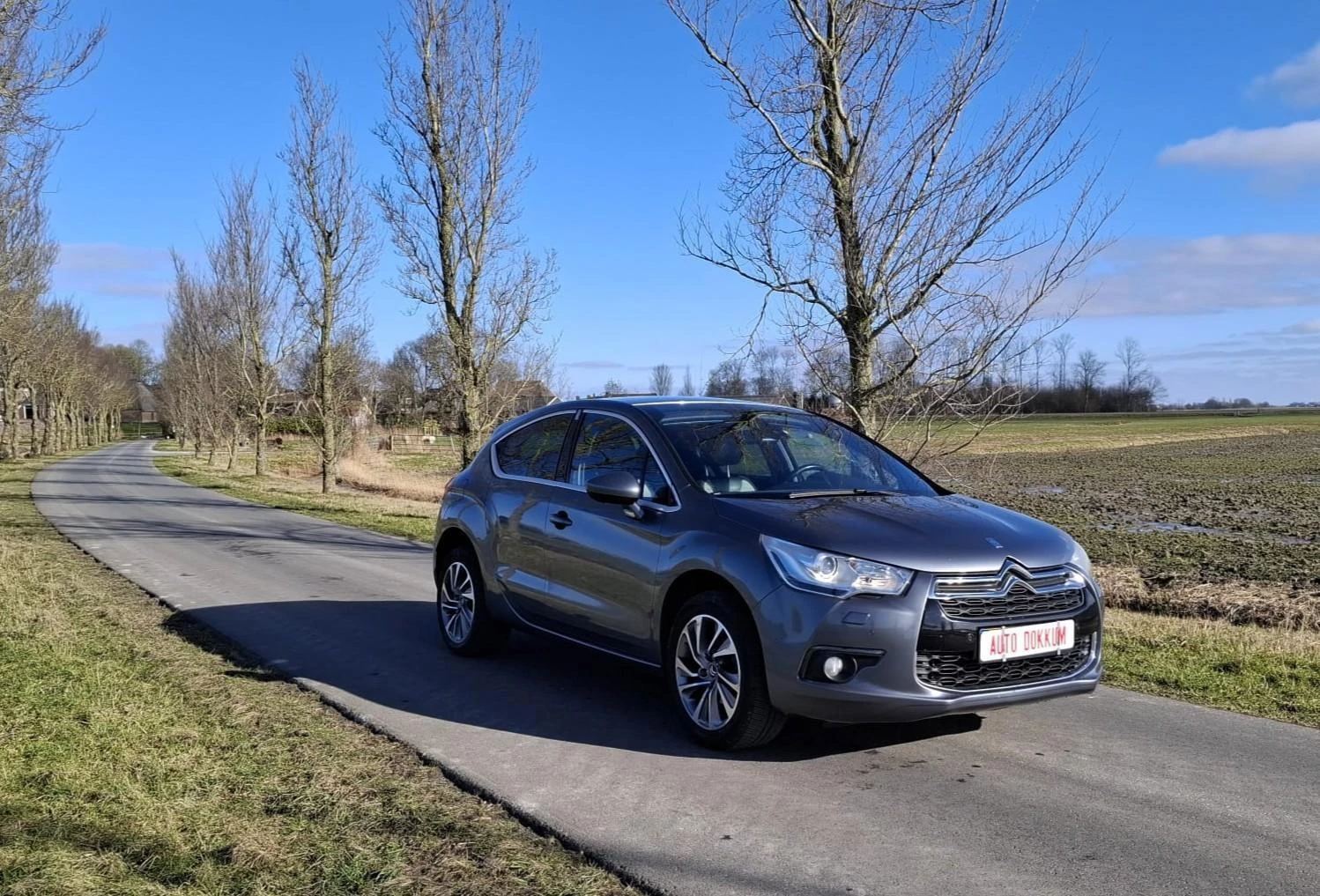 Hoofdafbeelding Citroën DS4