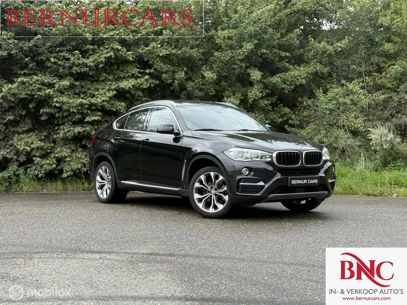 Hoofdafbeelding BMW X6