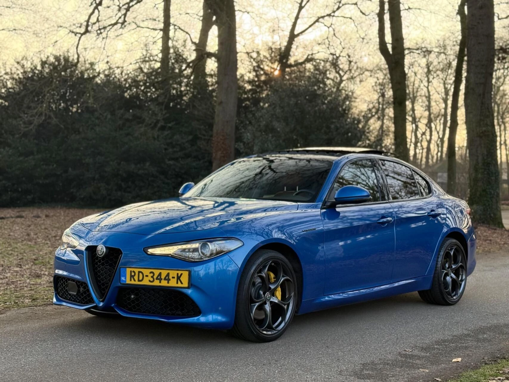 Hoofdafbeelding Alfa Romeo Giulia