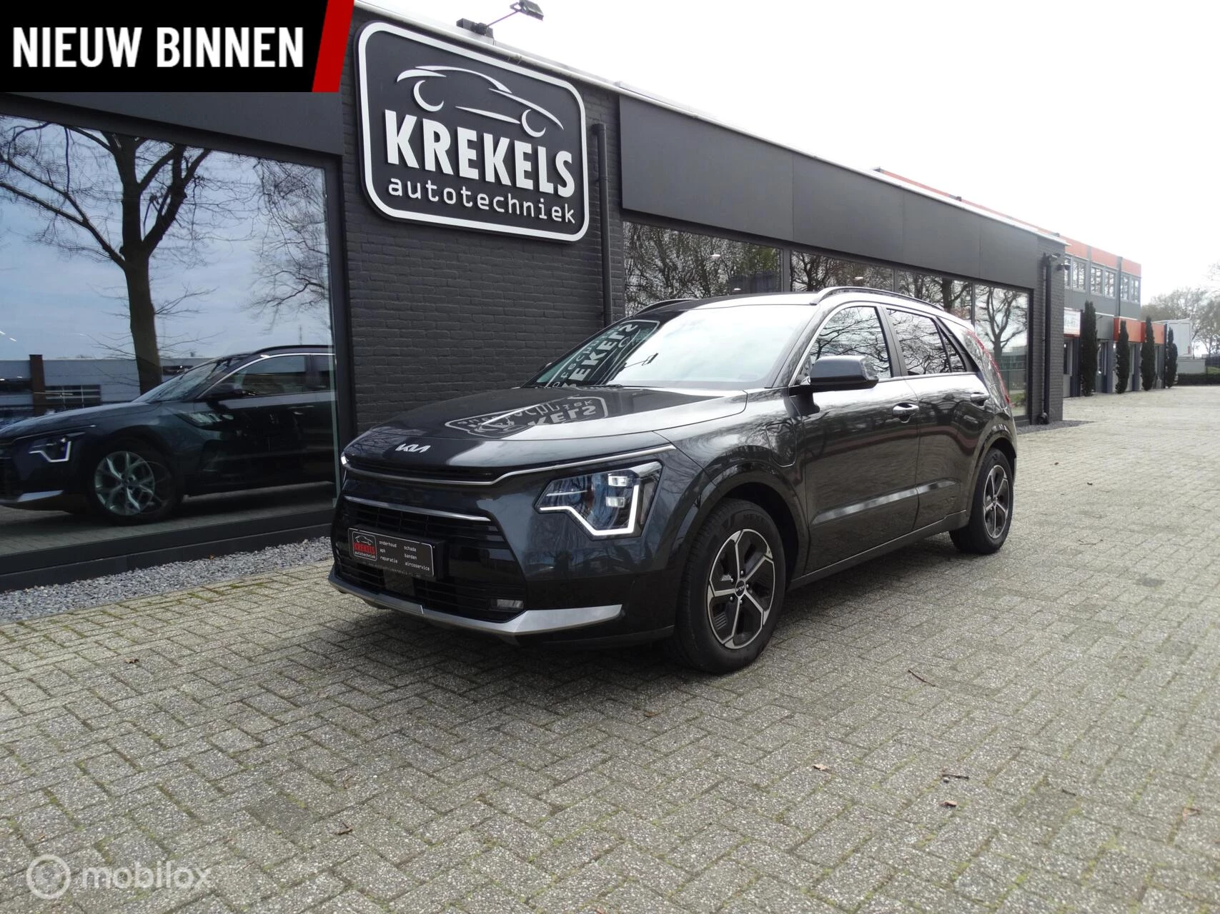 Hoofdafbeelding Kia Niro