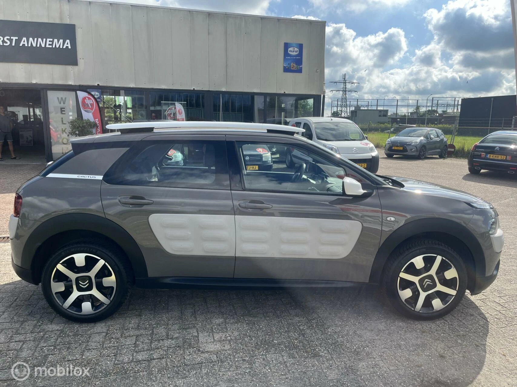 Hoofdafbeelding Citroën C4 Cactus