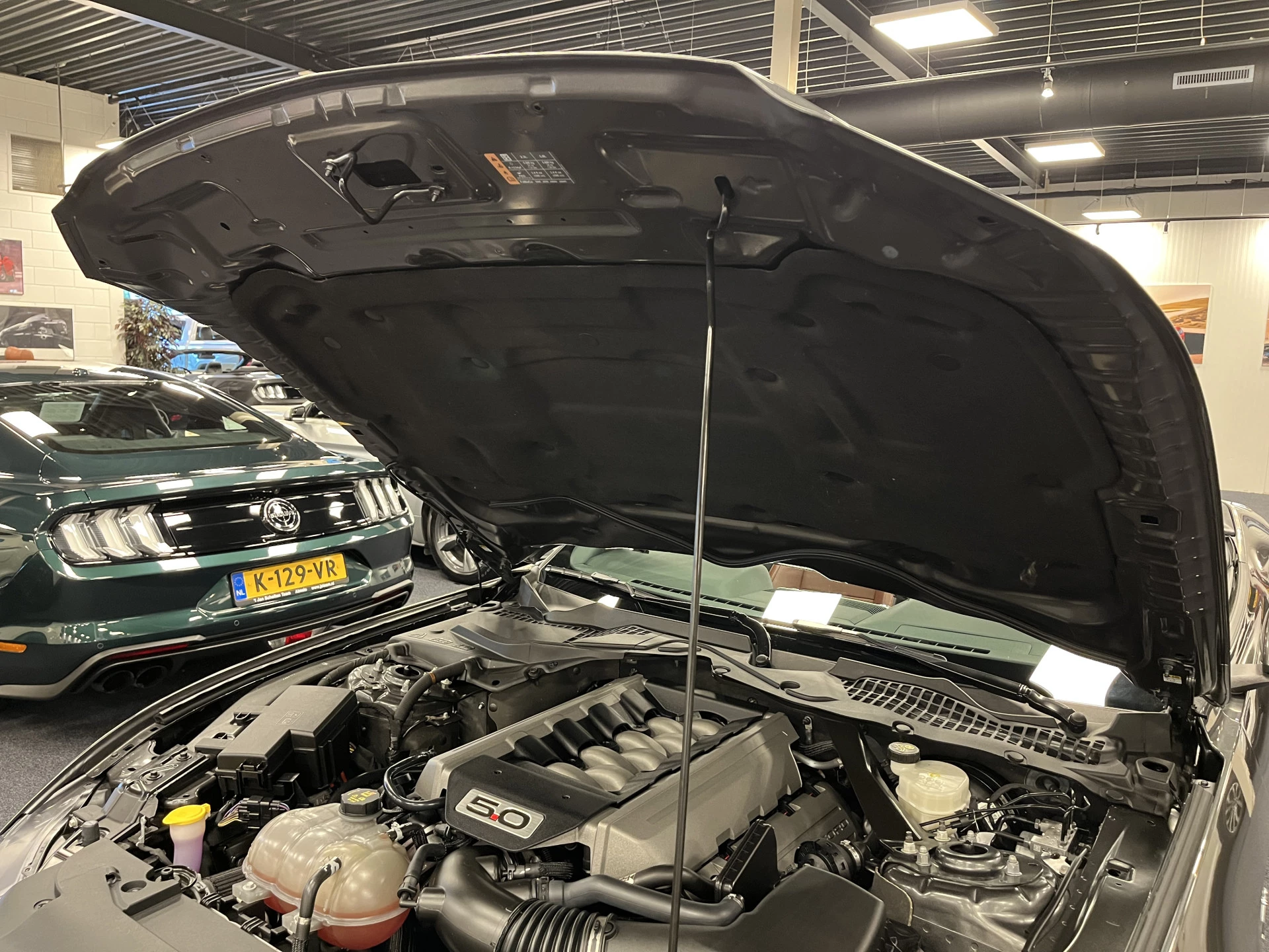 Hoofdafbeelding Ford Mustang