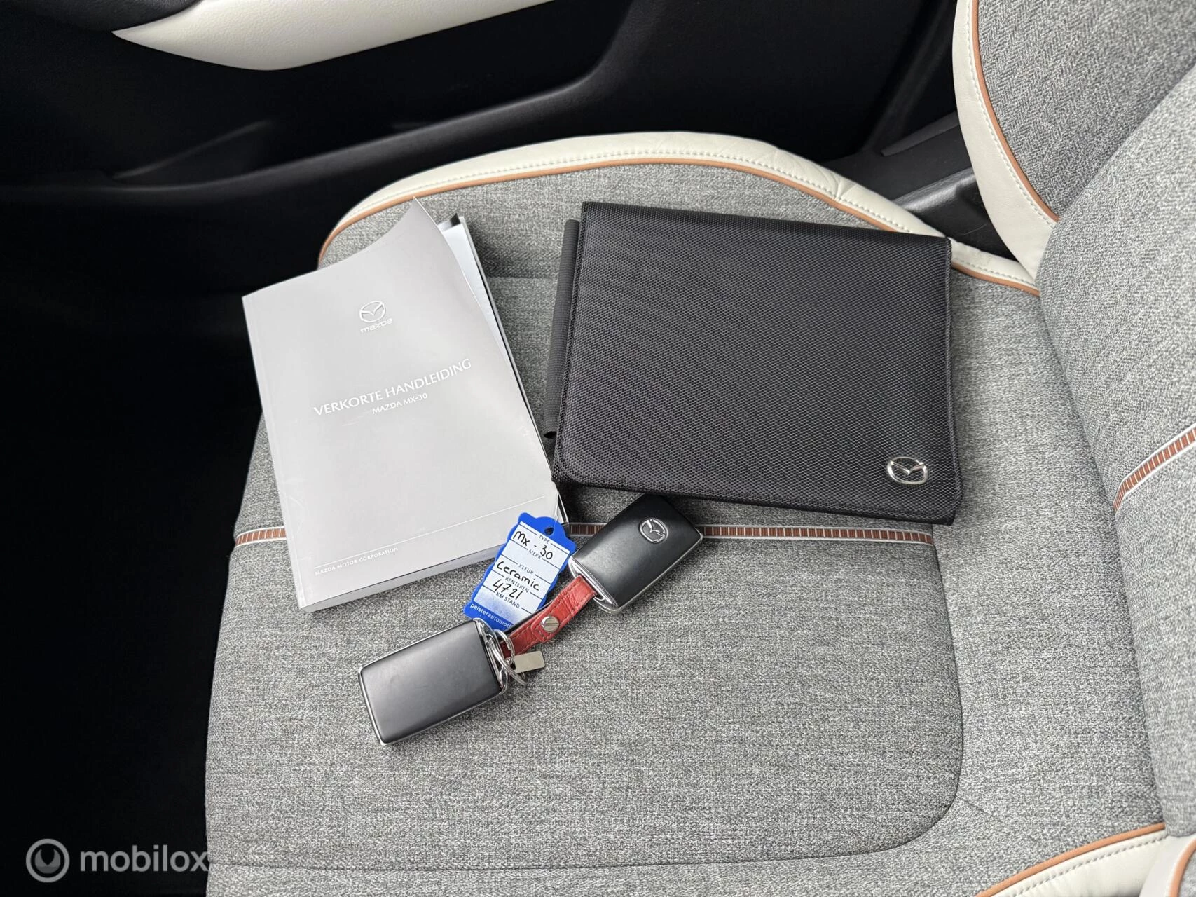 Hoofdafbeelding Mazda MX-30