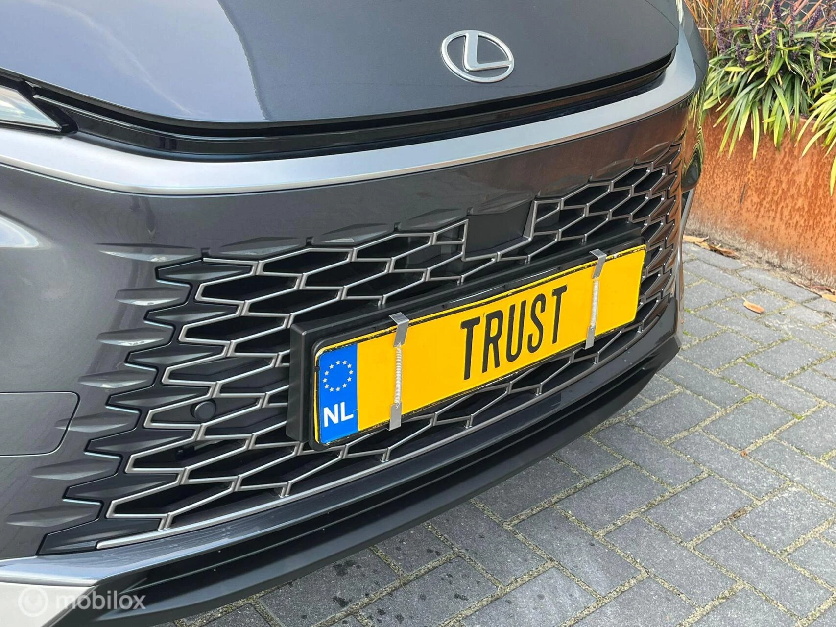 Hoofdafbeelding Lexus LBX