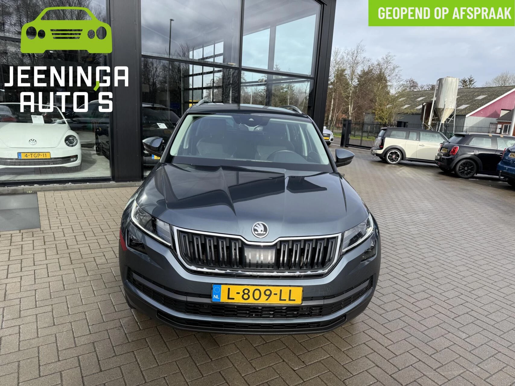 Hoofdafbeelding Škoda Kodiaq