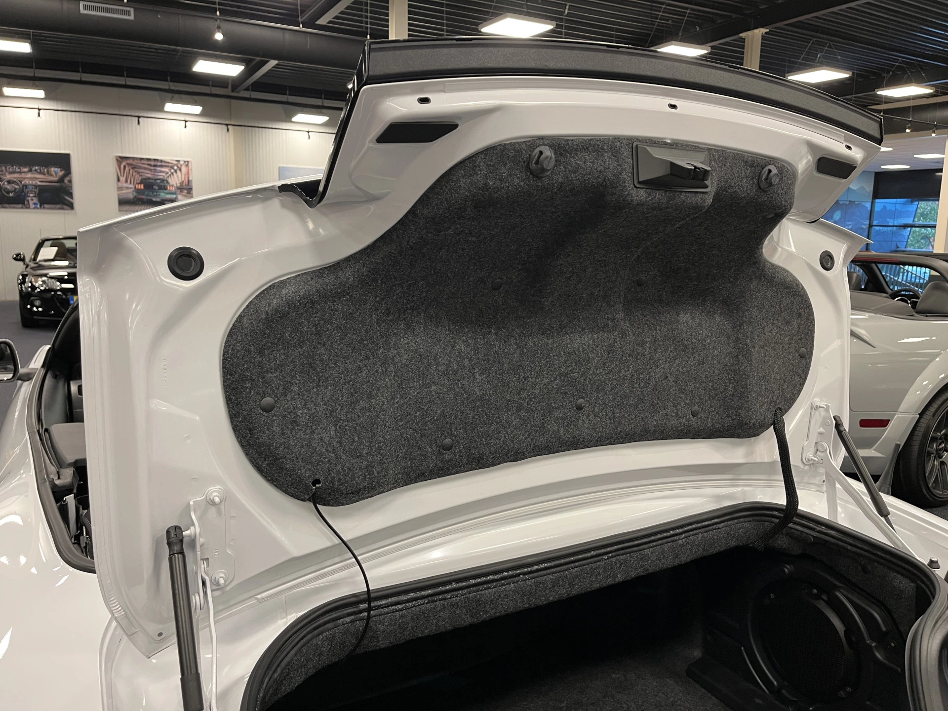 Hoofdafbeelding Ford Mustang