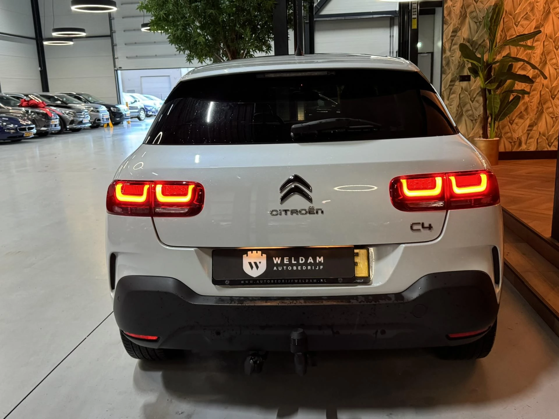 Hoofdafbeelding Citroën C4 Cactus
