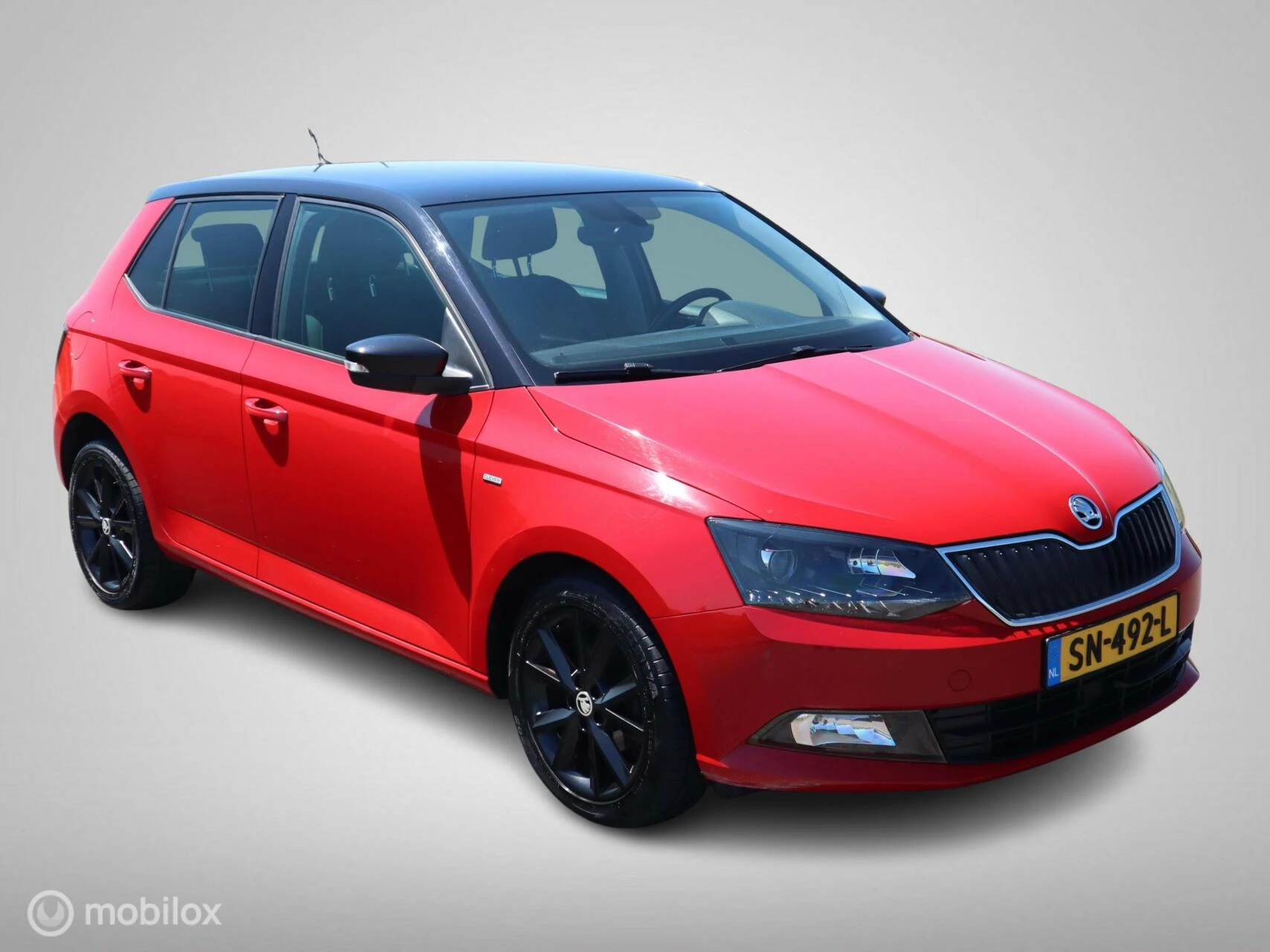 Hoofdafbeelding Škoda Fabia