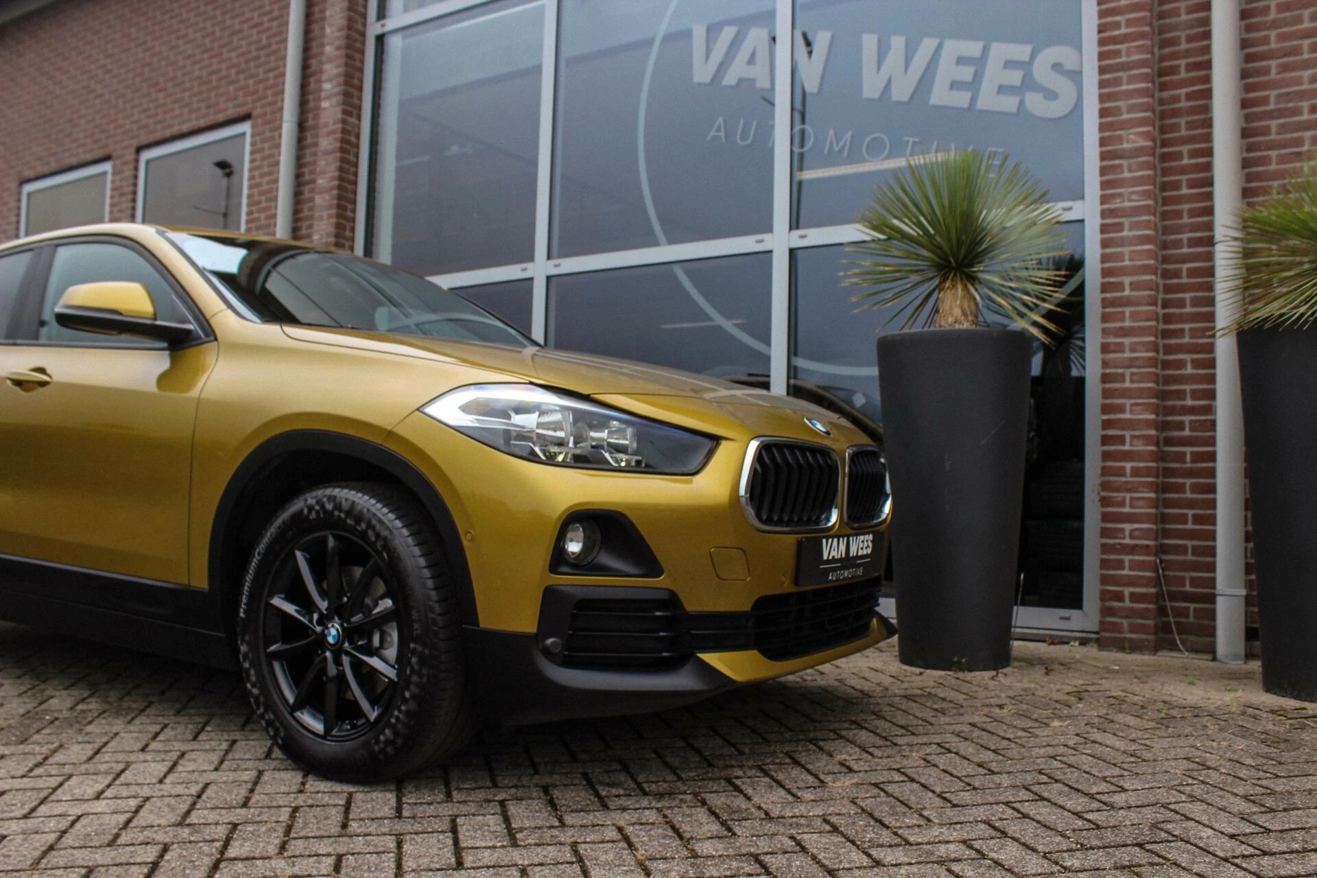 Hoofdafbeelding BMW X2