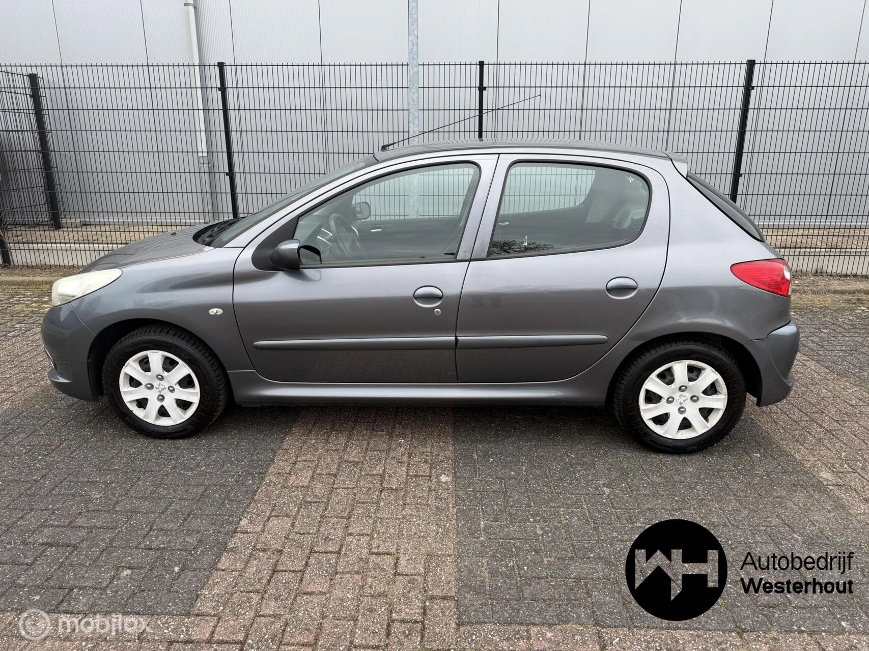 Hoofdafbeelding Peugeot 206