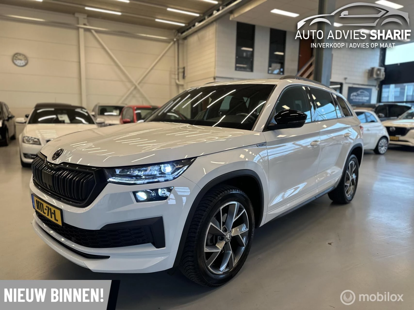 Hoofdafbeelding Škoda Kodiaq