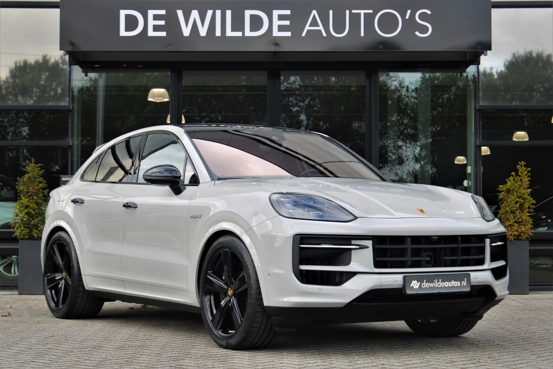 Hoofdafbeelding Porsche Cayenne